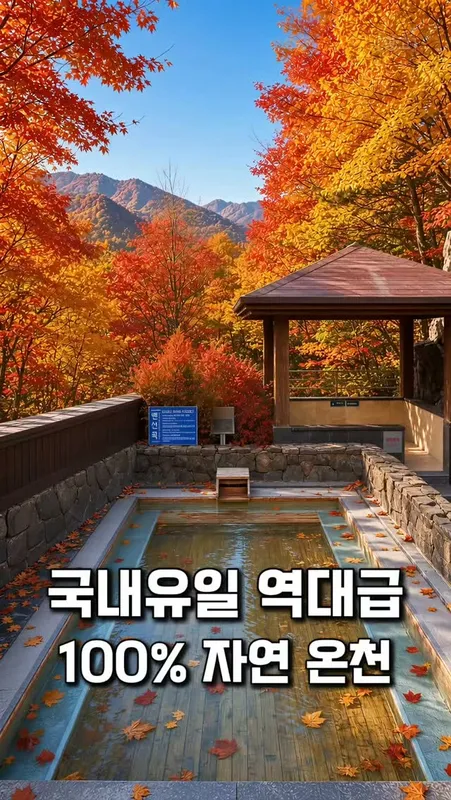 17. 국내유일 100%온천
