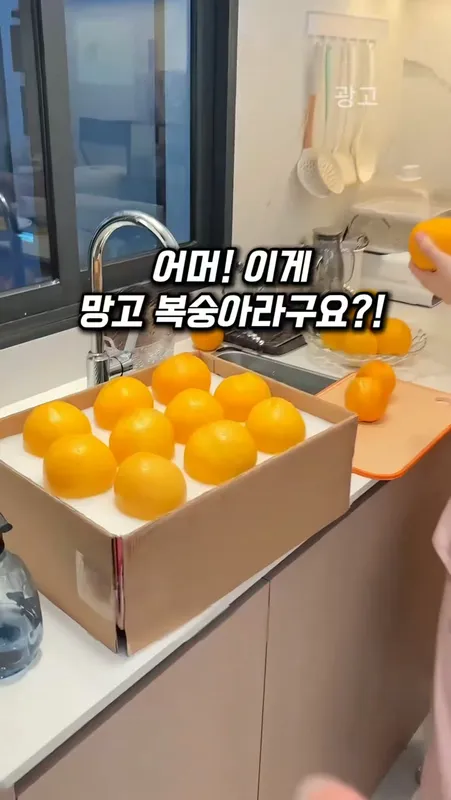 253 망고복숭아?!