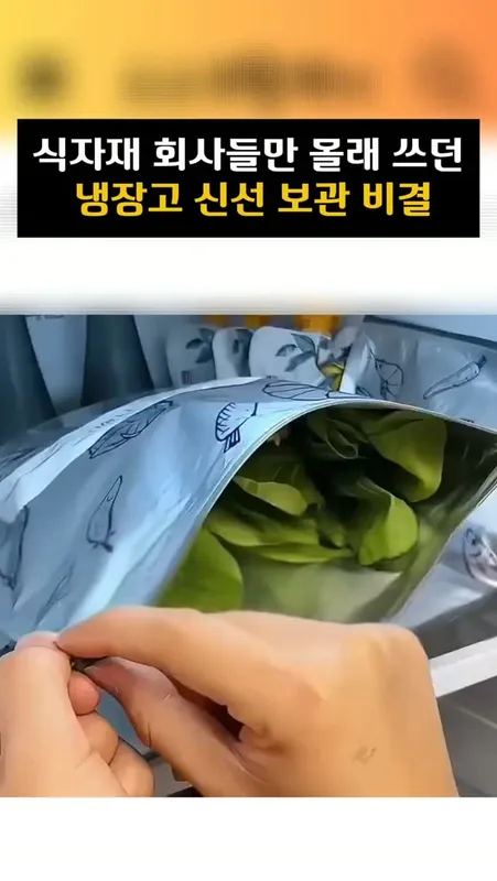 026  은박 지퍼백