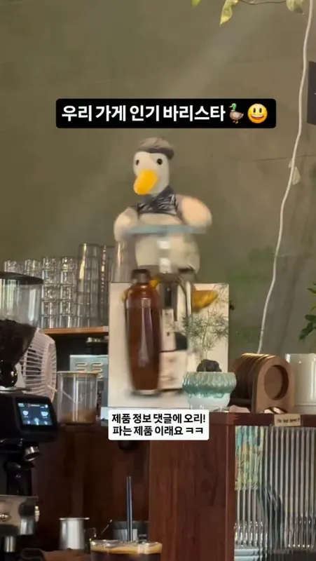 51. 오리 바리스타