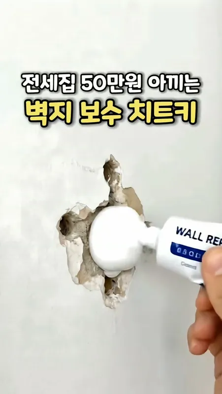 29.  벽면 보수제