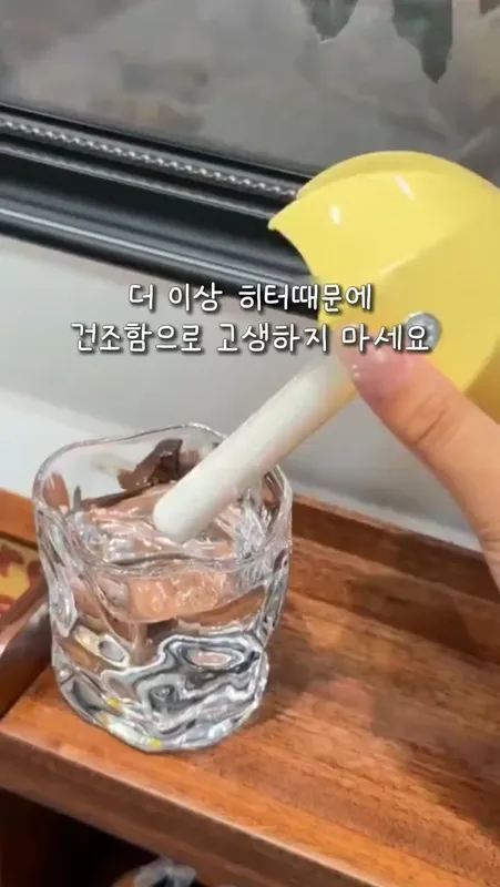 16. 공기를 바꿔줄 촉촉꿀템