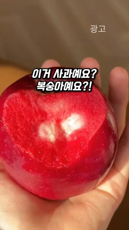 54.  사과복숭아 ?!