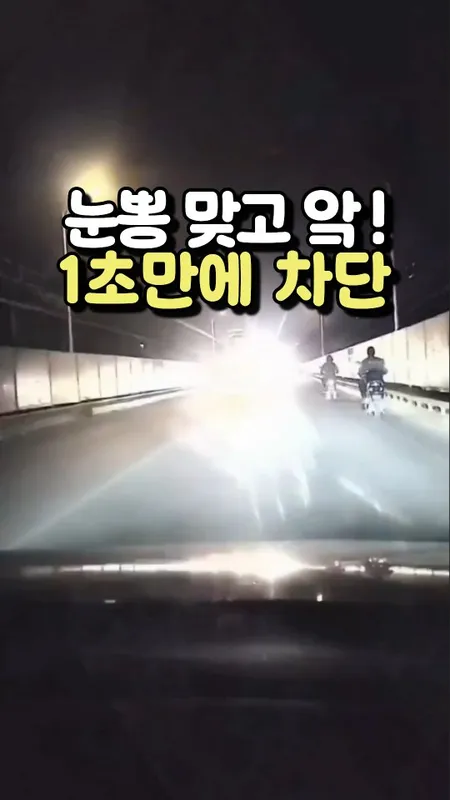 차량용 햇빛가리개