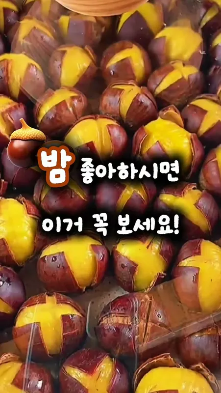 [252] 밤삶기 비법재료