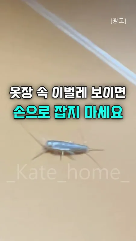 157. 옷장속 흰벌레 퇴치