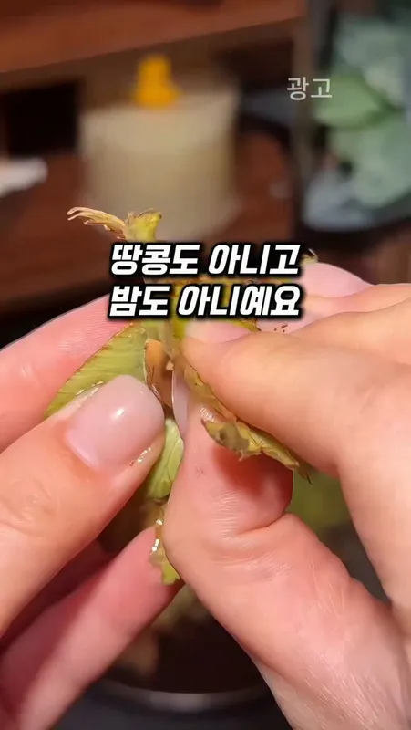 267. 저속노화 끝판 견과류