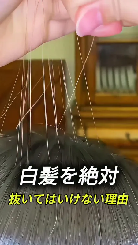 22. 白髪を絶対
抜いてはいけない理由
