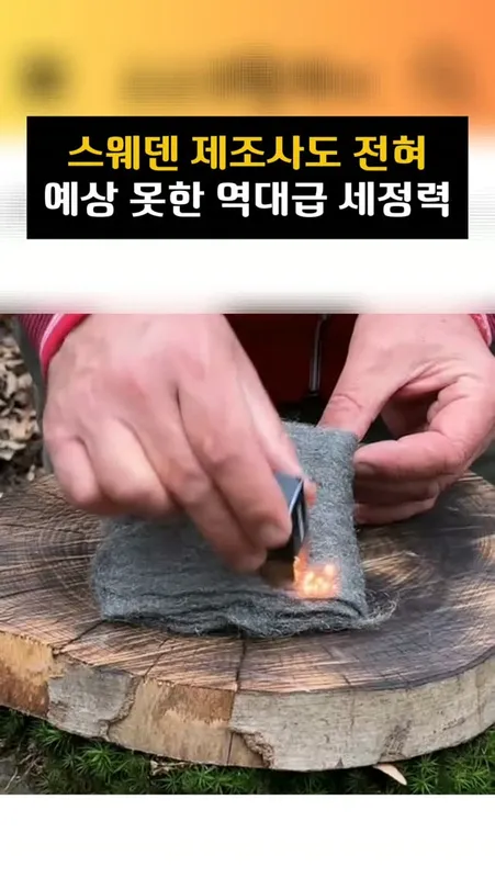 024 스웨덴 수세미