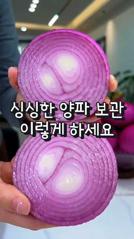 195. 싱싱한 양파보관법