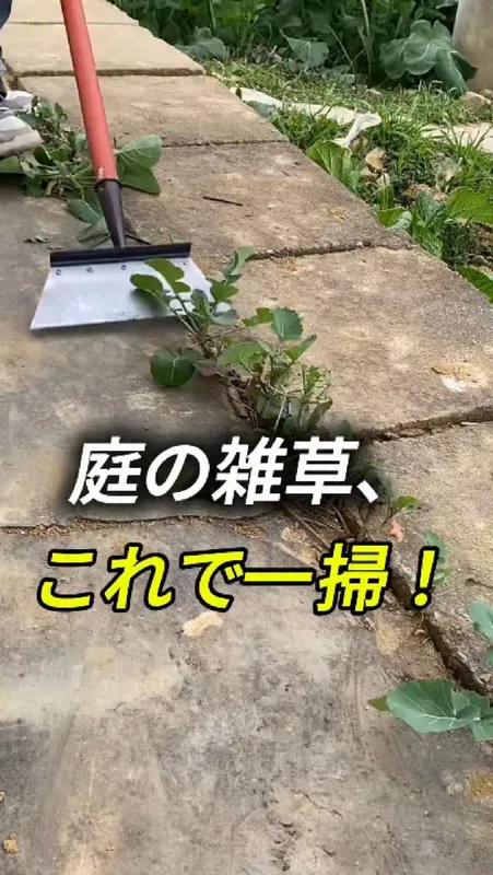 29. 庭の雑草、
これで一掃！