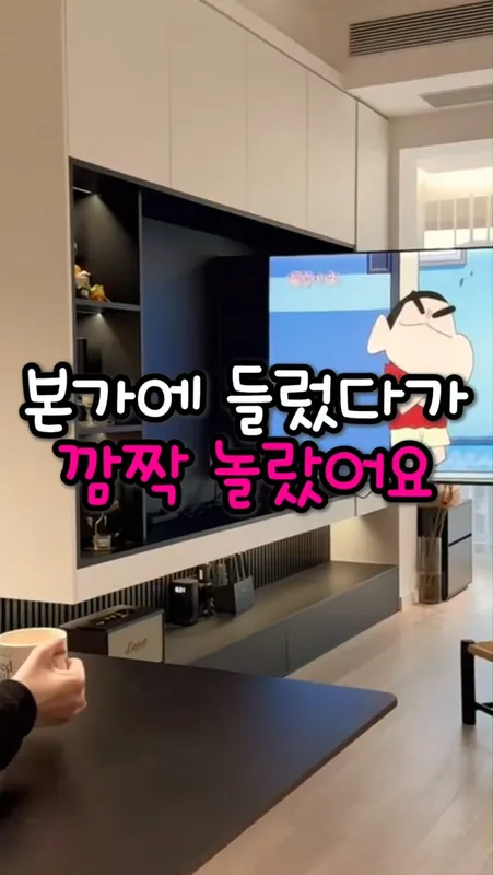 14. 전동 TV 마운트