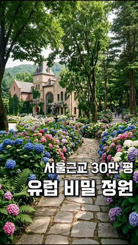 29. 화담숲 6배 서울근교 숲속마을