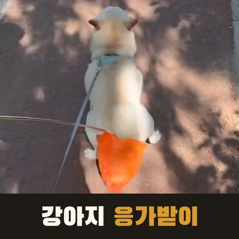 <28번> 강아지 응가받이 스틱