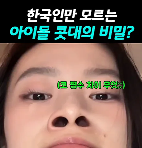 33. 아이돌 콧대 비밀