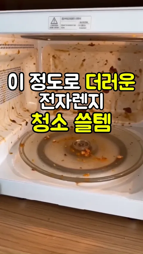 2 이 정도로 더러운 전자렌지 청소 쓸템