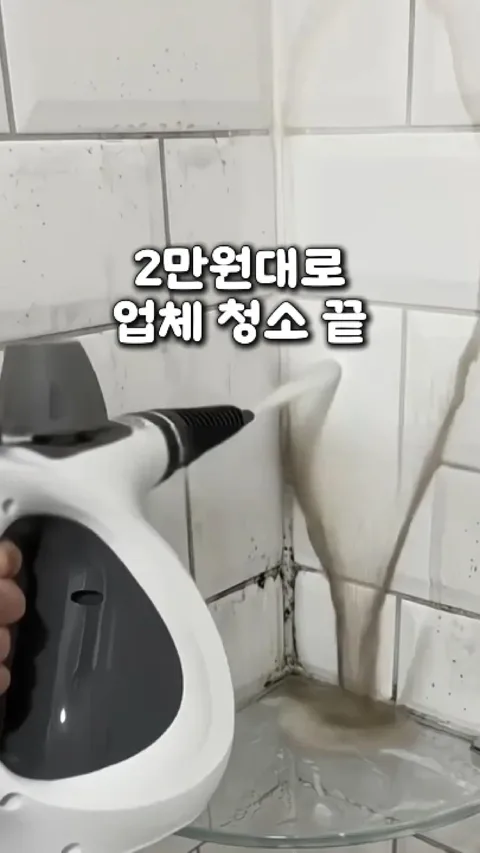 [38.] 고압 스팀 청소기