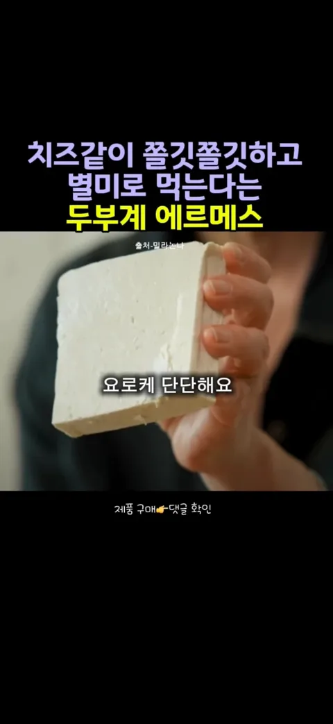 치즈같이쫄깃
두부계에르메스