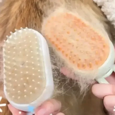98. 고양이 스팀 빗