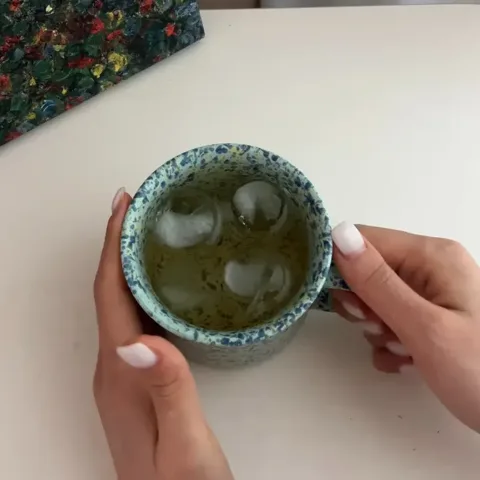 32. 루이보스 순환티