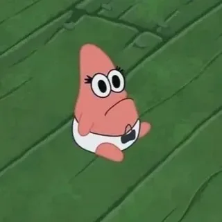 뚱이홈
