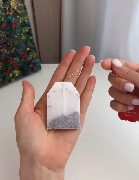 30.화사님 붓기차