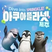 아쿠아플라넷 제주🐋