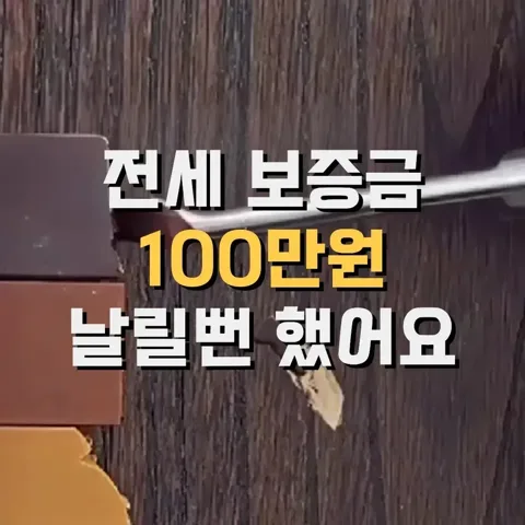 ✔️ 마루바닥 보수템