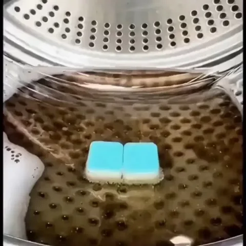 208. 세탁조 클리너