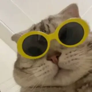 너굴템