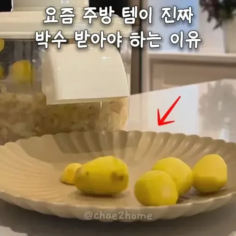 491. (클릭후 '491' 검색) 전동 과일세척 껍질제거기
