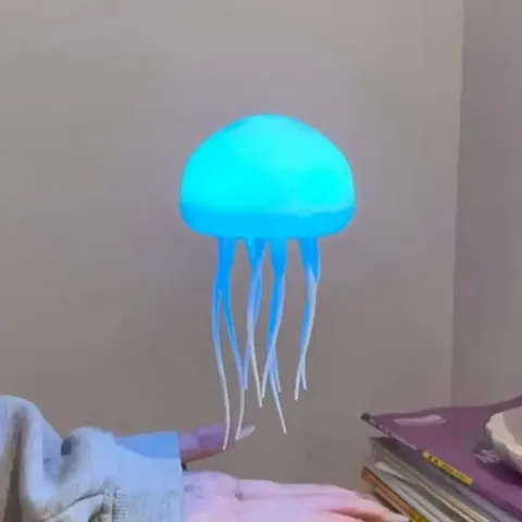 014 해파리무드등