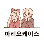 마리오케이스